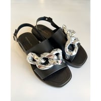 QUINN【TEMPERATE】