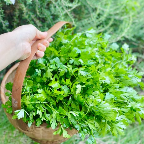 香月塩　野菜•サラダ用　詰め替えタイプ
