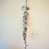 一本ユーカリ（特大）