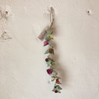 一本ユーカリ（中）