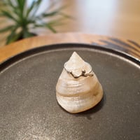 Ametsubu Ring /Rp1/silver/17号