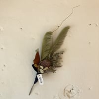 ココシニアのソテツスワッグ