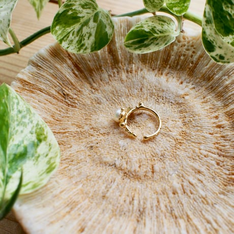Ametsubu Earcuff / Cs2/ gold / S