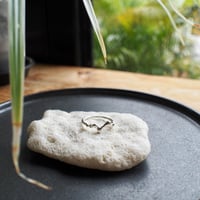 Ametsubu Ring /Rp1/silver/9号
