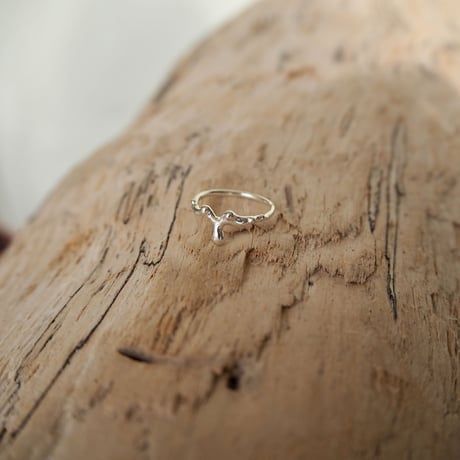 Ametsubu Ring /Rp1/silver/4号