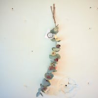 一本ユーカリ（特大）