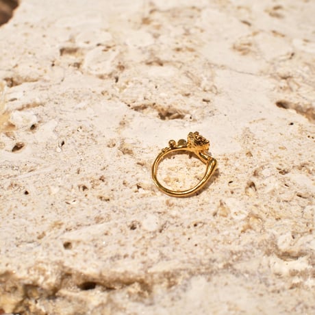 Minamo Ring / Rga2 / gold / 12号