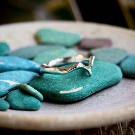 Kokkaku Ring / Rw1 / silver / Lサイズ