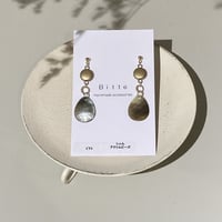 シェルピアス