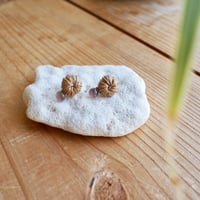 アタミニピアス　バイカラートルマリン