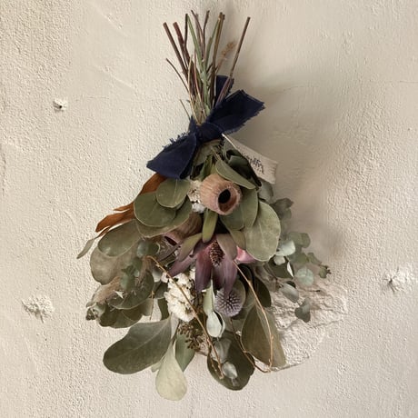 CATEGORY Lyplant 〈ﾄﾞﾗｲﾌﾗﾜｰ〉 | Coral days