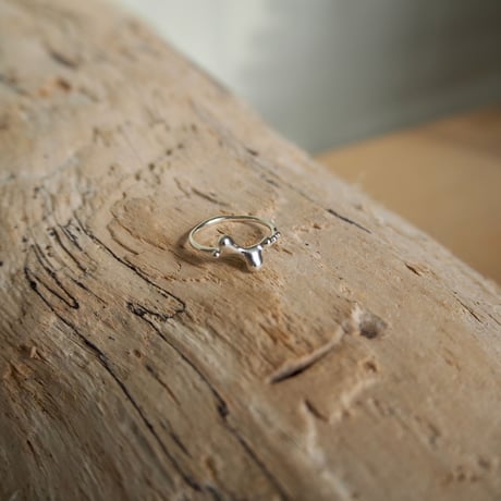 Ametsubu Ring /Rp1/silver/4号
