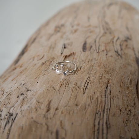 Ametsubu Ring /Rp1/silver/5号