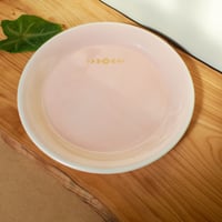 コーラルピンク丸平皿