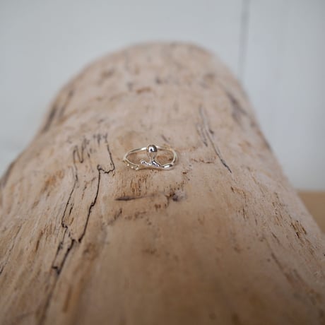 Ametsubu Ring /Rp1/silver/13号