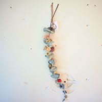 一本ユーカリ（特大）