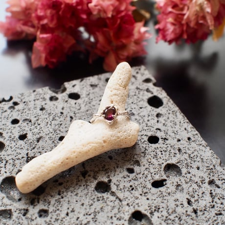 CATEGORY shu shu me 〈ｱｸｾｻﾘｰ〉 | Coral days