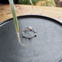 Ametsubu Earcuff / Cs5 / silver