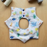 star bib 海