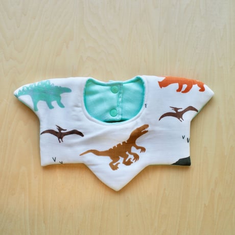 star bib  キョウリュウ