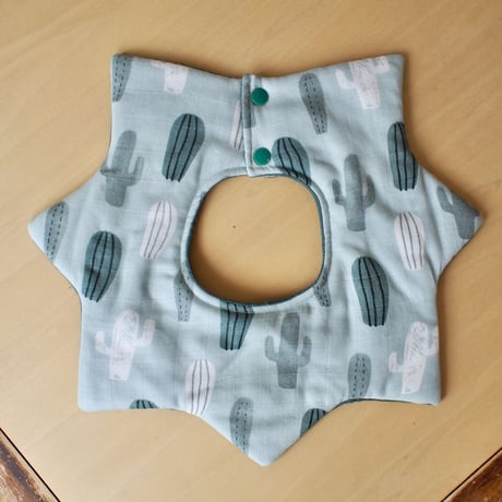 star bib サボテン