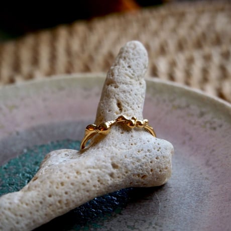 Ametsubu Ring / Rp2 / gold/ 13号