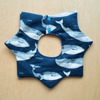 star bib くじら