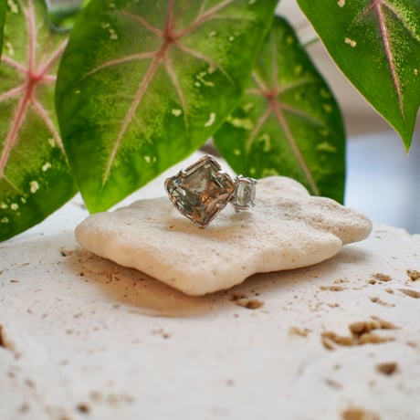 Minamo Ring / Rg259 / silver / 14号