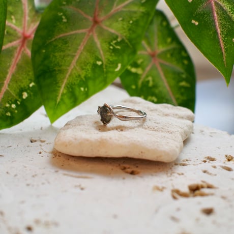 Minamo Ring / Rg256 / silver / 14号