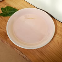 コーラルピンク丸平皿