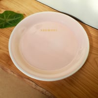 コーラルピンク丸平皿