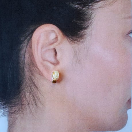 peau ice 18Ｋサージカルステンレスイヤリング