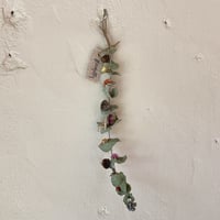 一本ユーカリ（大）