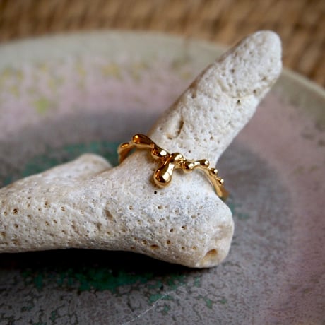 Ametsubu Ring / Rp2 / gold/ 10号