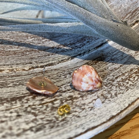 キンチャクシェルピアス