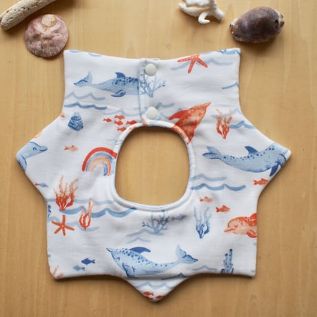 star bib　いるか