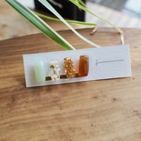 parfum ミント 18Ｋサージカルステンレスイヤリング