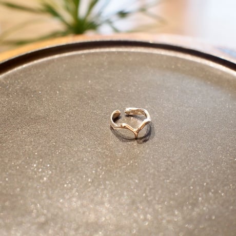 Kokkaku Ring / Rw1 / silver/ S