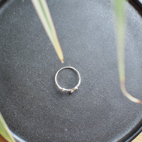 Ametsubu Ring /Rp1/silver/15号