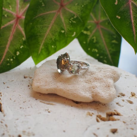 Minamo Ring / Rg259 / silver / 14号