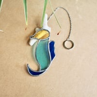 タツノオトシゴ