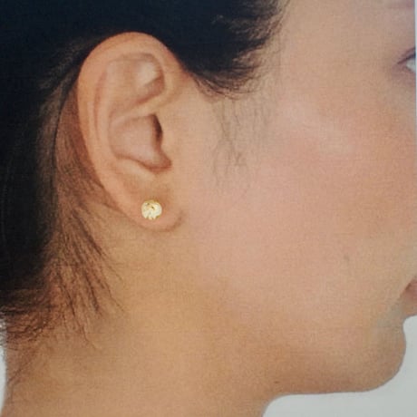 espoir ミント 18Ｋサージカルステンレスピアス