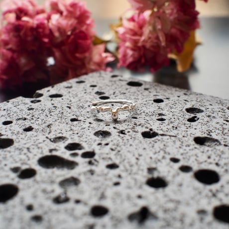 Ametsubu Ring /Rp1/silver/17号