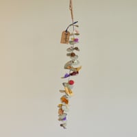 一本ユーカリ(大)