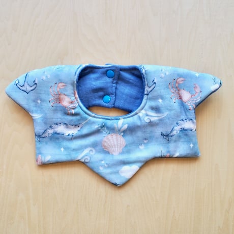 star bib  blue