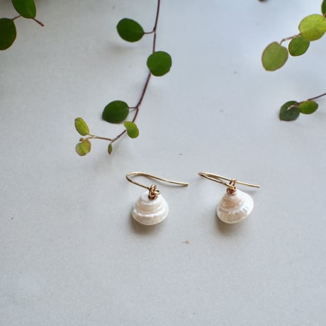 トライアングルシェルピアス