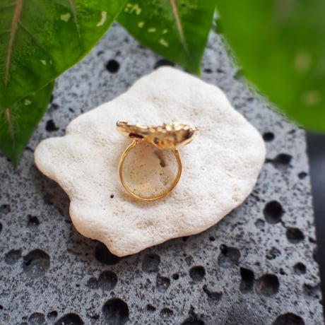 Ibuki Ring / Rg340 / gold / 13号