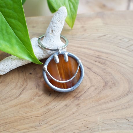 CATEGORY Charme 〈ｽﾃﾝﾄﾞｸﾞﾗｽ〉 | Coral days