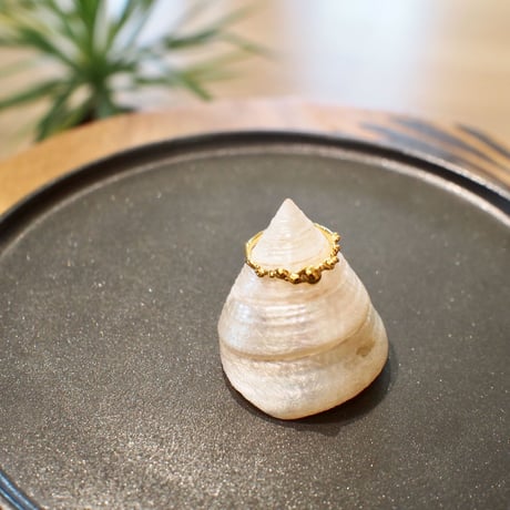 Ametsubu Ring / Rp2 / gold/ 10号