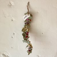 一本ユーカリ（大）